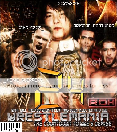 wwe242.jpg
