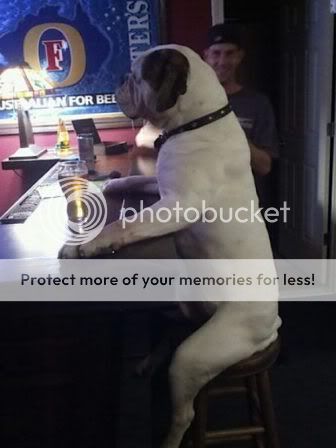 hilarious-pictures-7.jpg