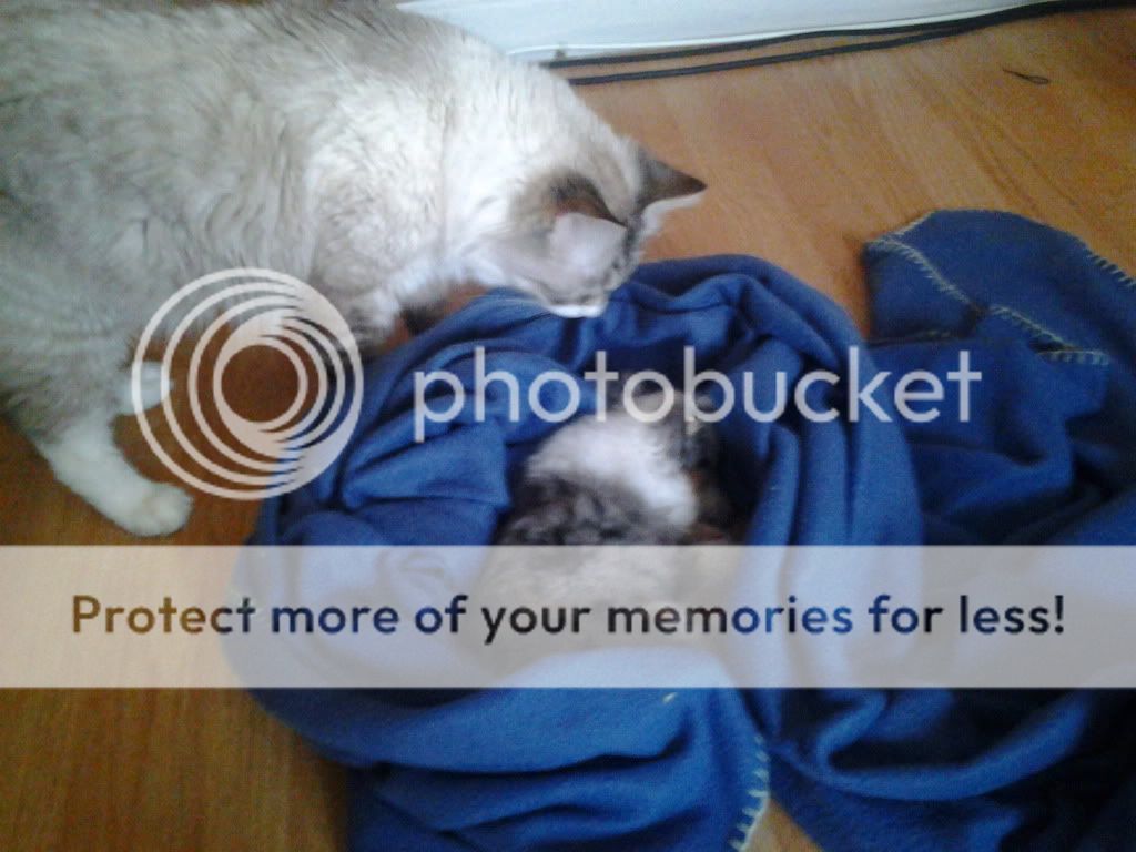 2012-04-21154333-1-2.jpg