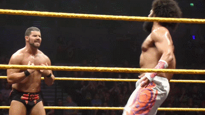 tumblr_ob007u3EDr1qlhou3o1_400.gif