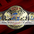 ECWTitle.png