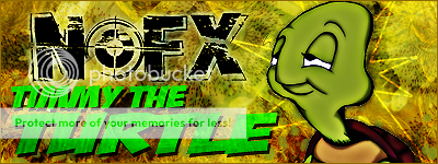 TurtleSig.png
