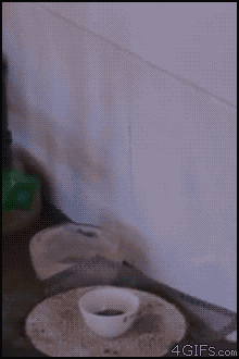 cY5nF.gif