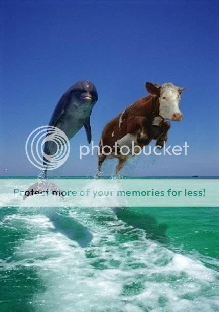 hilarious_pictures_086.jpg