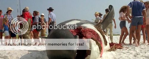 Jaws23.jpg