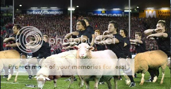 haka.jpg