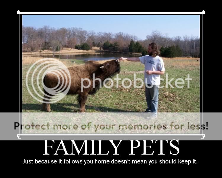 family_pets.jpg