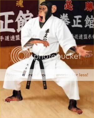 karate20chimp.jpg