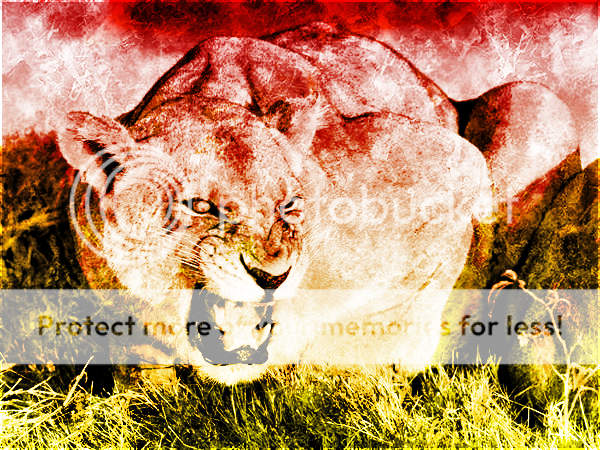WakenLion.png