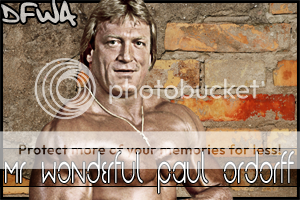 WonderfulDF13.png