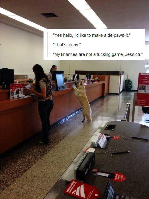 tumblr_mqpqn0moJX1r93b1wo1_500.jpg