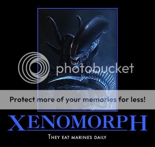 xenomorph.jpg
