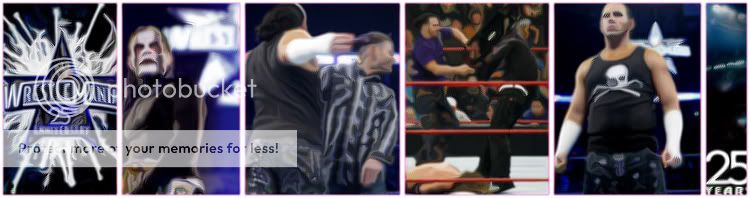WrestleMania25-HardyvsHardy.jpg