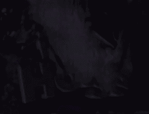 sbVRsmL.gif