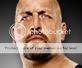 WWERosterBigShow.jpg