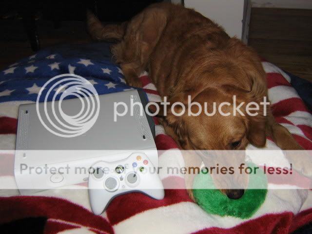 IMG_04351.jpg