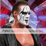 Sting.jpg