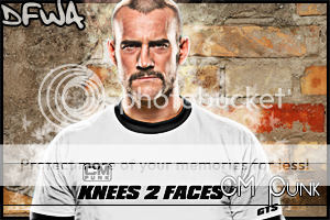CMPunkDF13.png