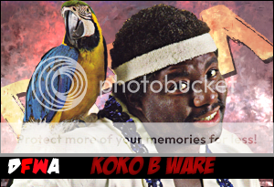 DFWAKoko.png
