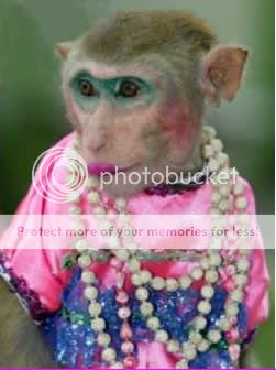 monkey-whore.jpg