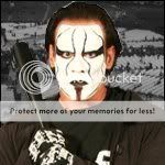 Sting.jpg